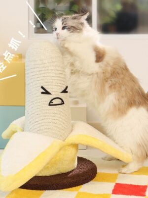 Banana cat scratching board