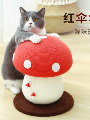 O1CN01550N3V1hKD9AOGQlb_!!2206730554258-0-cib