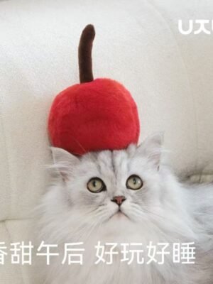 d880cc130be308d7ed89bb8158d6e29